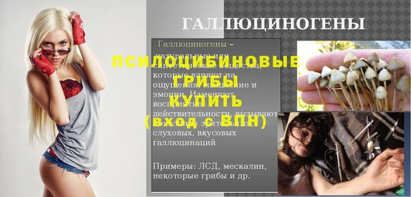 крисы Белоозёрский