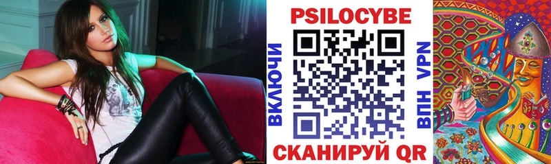 Псилоцибиновые грибы Magic Shrooms  Свободный 