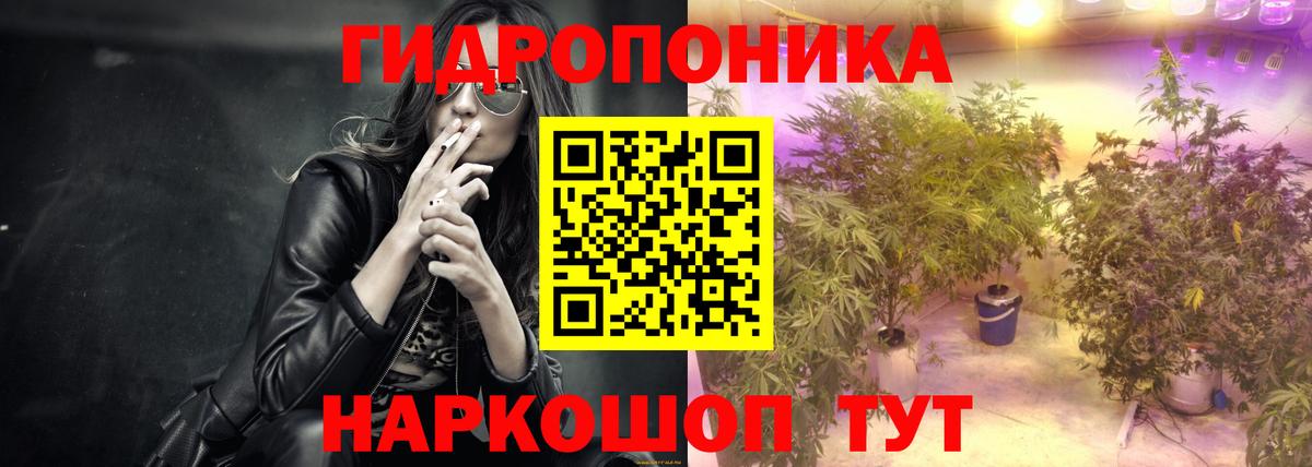 Бошки марихуана MAZAR Свободный